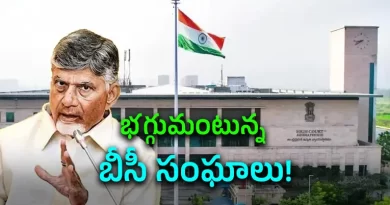 ఏపీలో రాజకీయ దుమారం  స్థానిక సంస్థల ఎన్నికల్లో  బీసీ రిజర్వేషన్ల జీవోలు రద్దు
