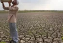 Rainfall has decreased; agriculture and production will be affected