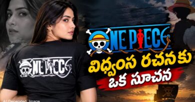 వన్ పీస్ – విధ్వంస రచనకు ఒక సూచన